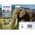 Epson 24 T2428 Multipack Elefant Druckerpatrone C13T242840